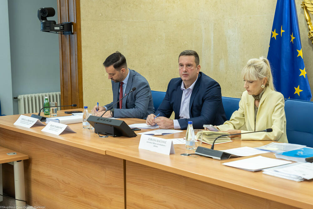 Odbor za bezbjednost i odbranu