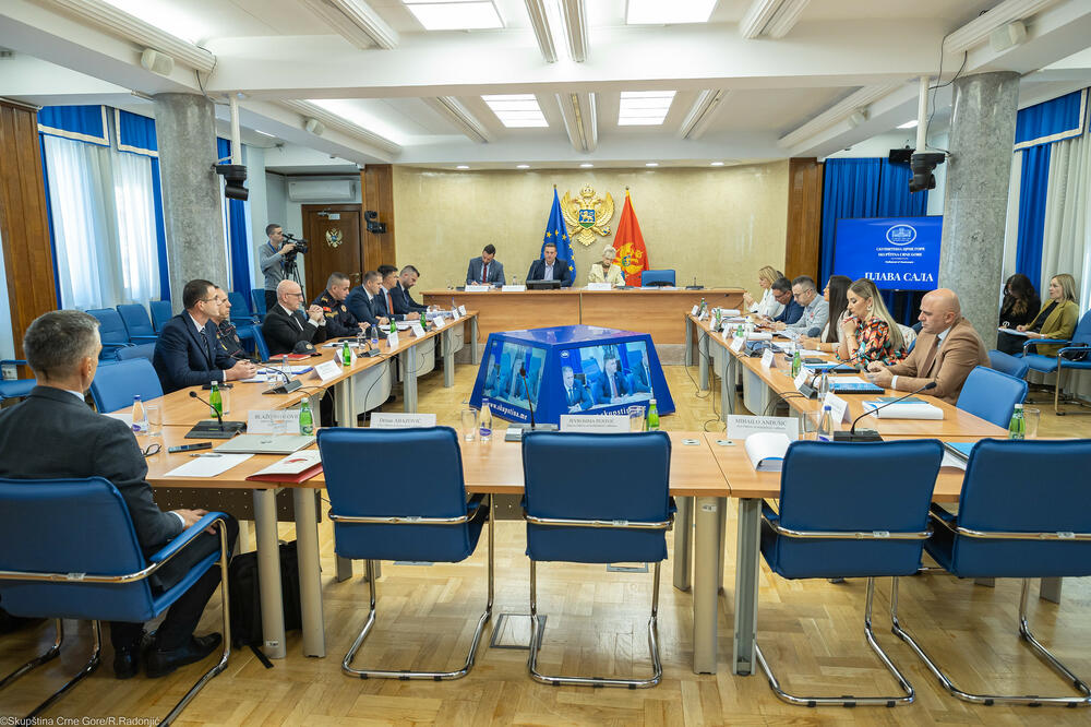 Foto: Skupština Crne Gore/R. Radonjić