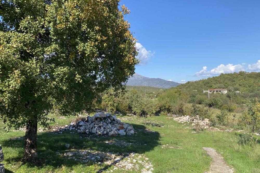 Mještani Komana traže smjenu čelnika Mjesne zajednice, Foto: Privatna arhiva