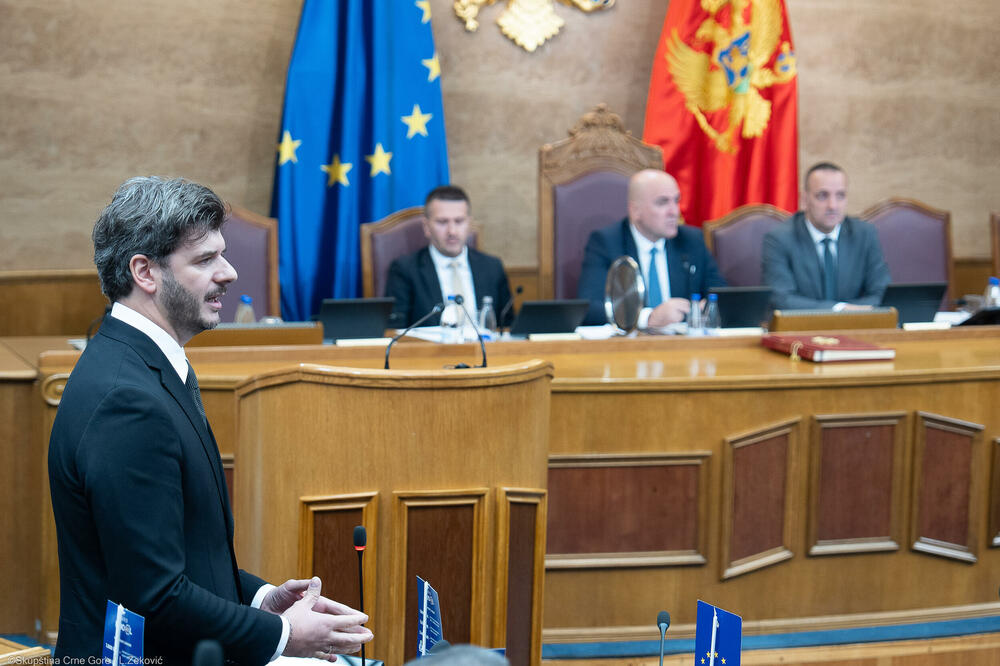 &ldquo;Funkcioner Vlade će biti procesuiran kao i svaki drugi građanin&rdquo;: Čarapić u parlamentu, Foto: Skupština Crne Gore/Luka Zeković