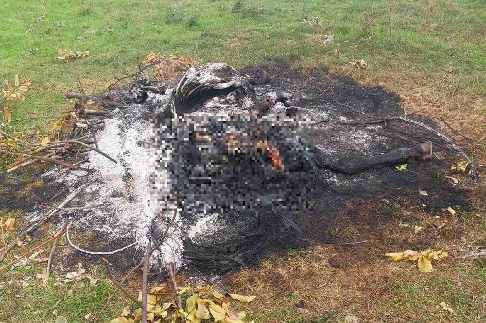 Ostaci uginule životinje nakon paljenja, Foto: Privatna arhiva