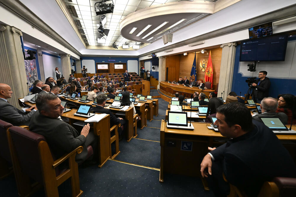 Detalj iz Skupštine, Foto: Boris Pejović
