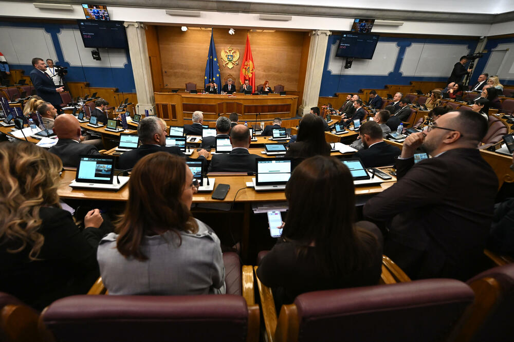 Detalj iz Skupštine, Foto: Boris Pejović
