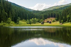 Bukovina je tiha zvijezda putovanja za 2027: Freske, šume i ruta...