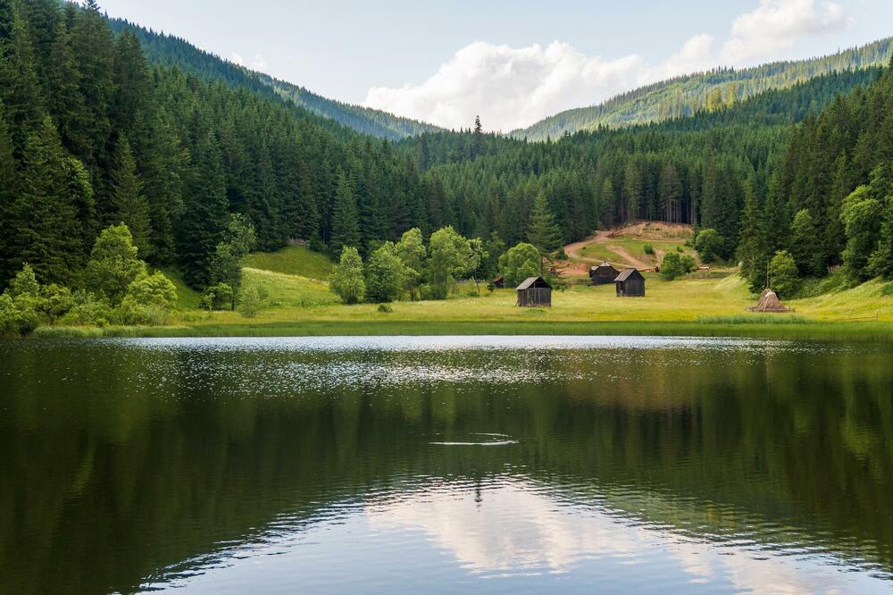Foto: Shutterstock