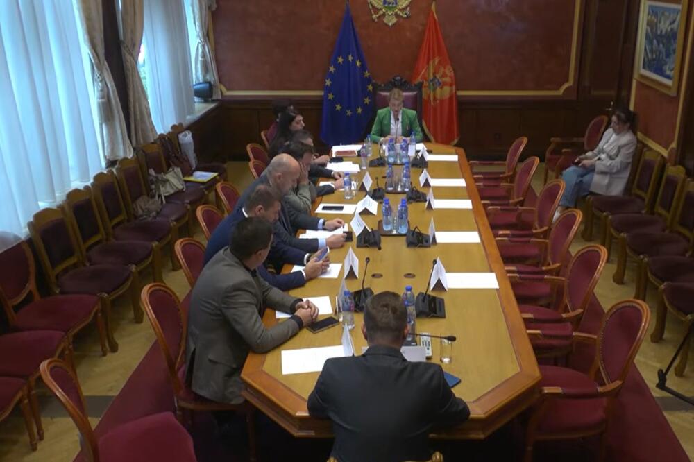 Foto: Screenshot/Skupština Crne Gore