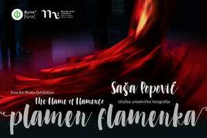 Plamen   flamenka večeras u Muzičkom centru