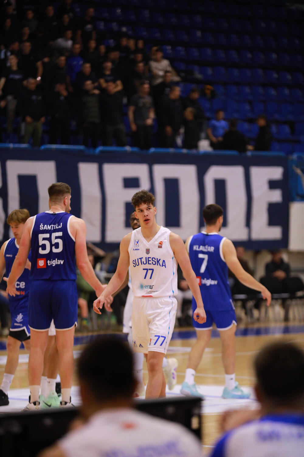 Luka Nikolić