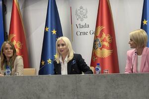 Gorčević: Vlada poslala pregovaračke pozicije Evropskoj komisiji,...