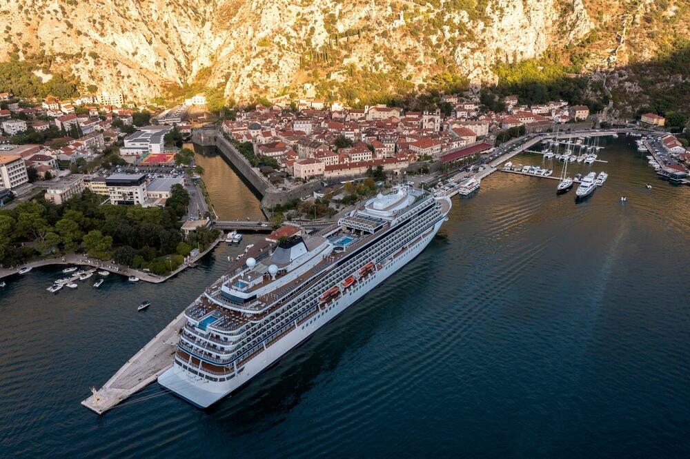 Mrvice za opštine u Boki Kotorskoj, Foto: Shutterstock