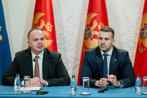 Đeljošaj o zahtjevima koje je ispostavio Vladi: Projekti...