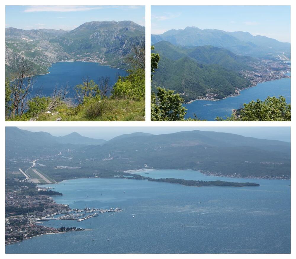 blog jasna