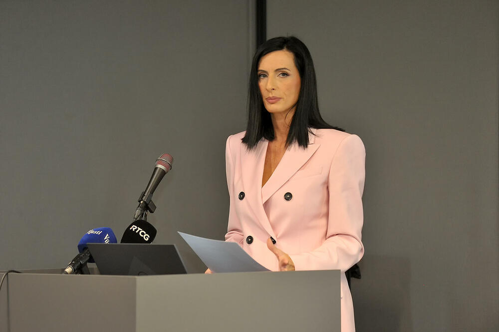 <p>Plenarni predavači sa renomiranih svjetskih univerziteta, kao i više od 80 autora sa brojnih univerziteta, značajno su doprinijeli uspjehu i međunarodnom odjeku Konferencije.</p>
