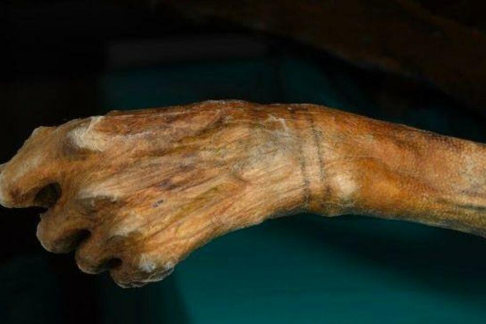 Foto: South Tyrol Museum of Archaeology / EURAC / Samadelli / Staschitz