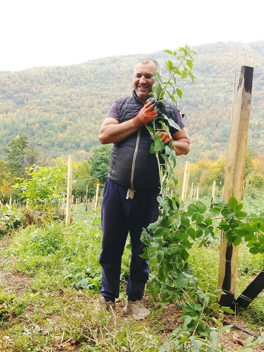 Vojinović u malinjaku