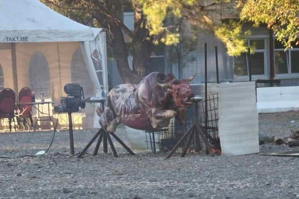 Foto: Demokratska Crna Gora