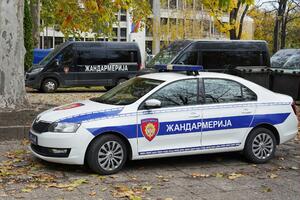 RTS: Ubijen maloljetnik, vikao "Alahu akbar" i napao pripadnika...