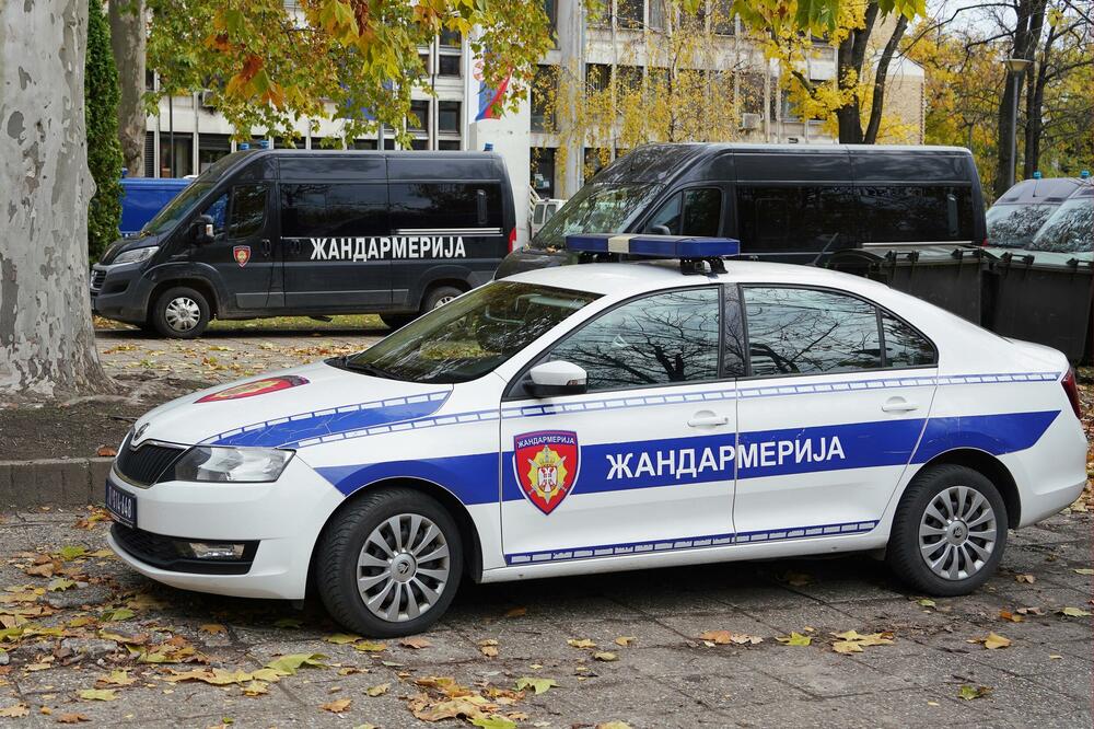 Vozila Žandarmerije Srbije (Ilustracija), Foto: Shutterstock