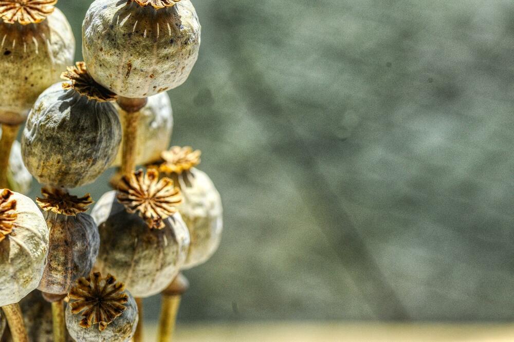 Ilustracija, Foto: Shutterstock