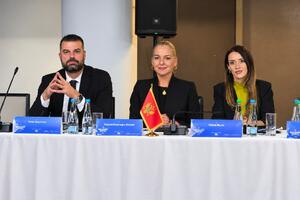 Koprivica: Niska stopa terorističke prijetnje u Crnoj Gori ne...