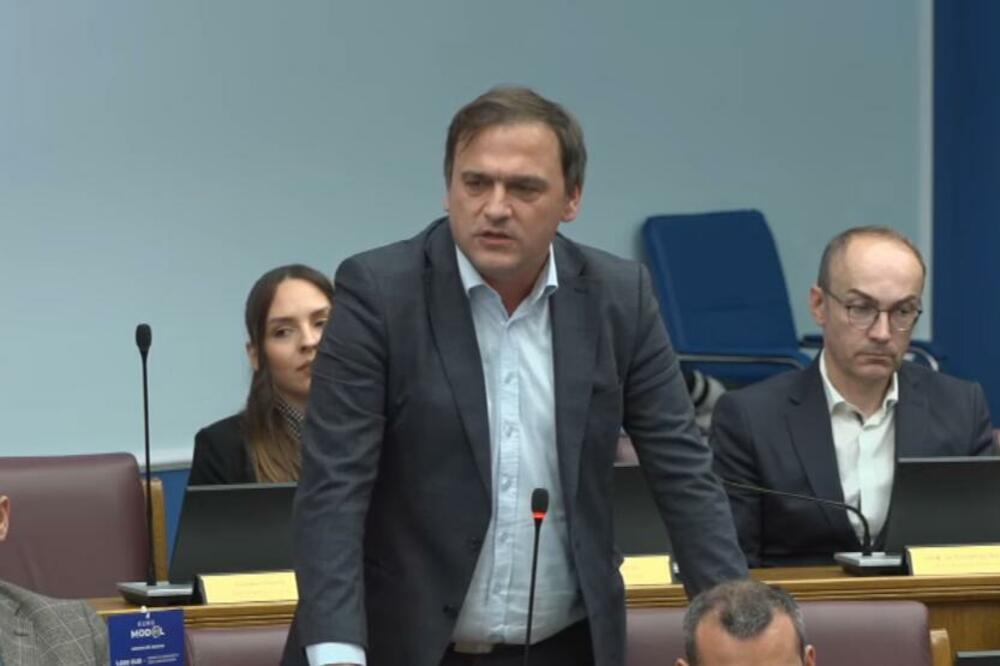 Foto: Skupština/Youtube