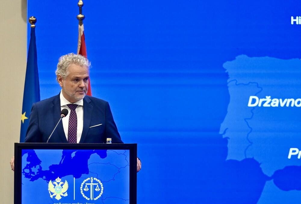 <p>"Činjenica da je Savjet EU počeo da razmatra poglavlja koja se tiču vladavine prava znači da se približavamo kraju ovog posla", rekao je ambasador EU</p>