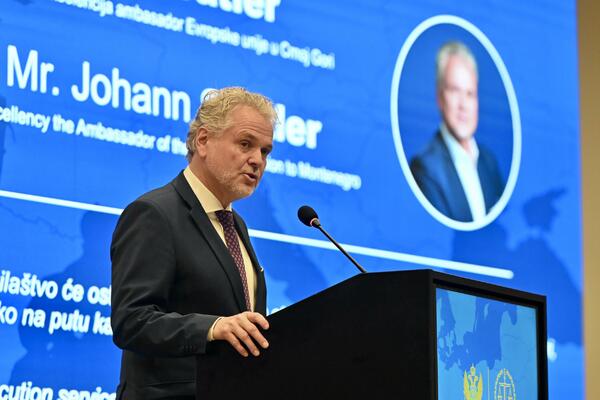 Satler: Preporučujemo članicama EU da zatvore poglavlja 23 i 24 u...
