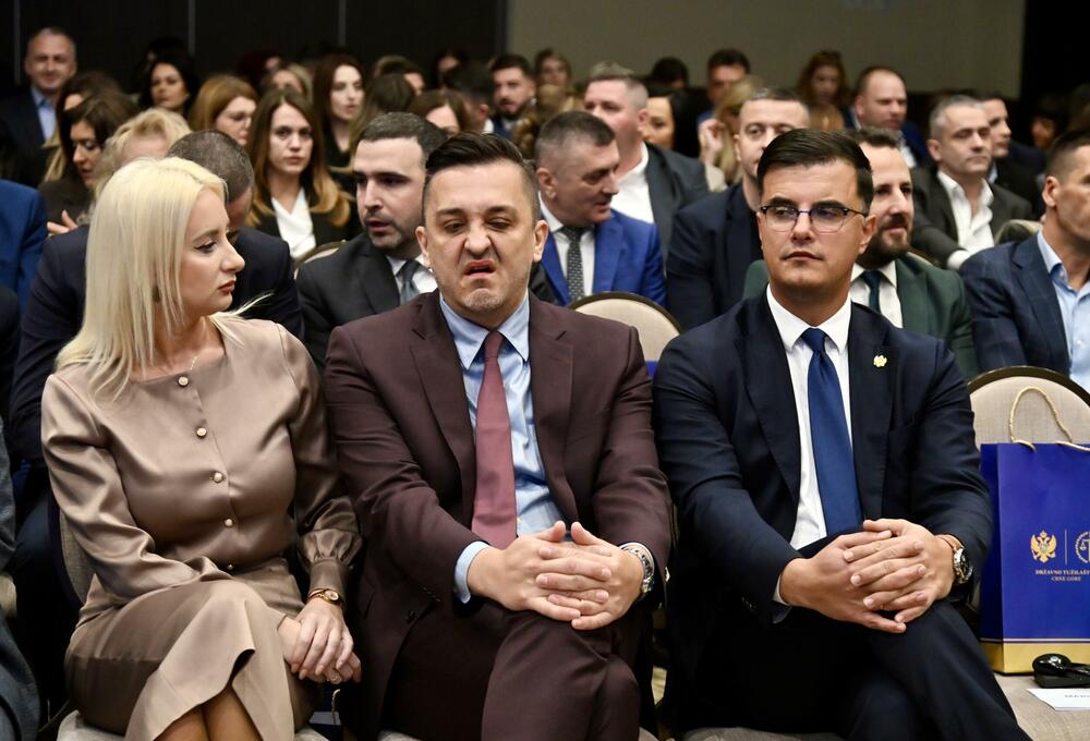 <p>"Činjenica da je Savjet EU počeo da razmatra poglavlja koja se tiču vladavine prava znači da se približavamo kraju ovog posla", rekao je ambasador EU</p>