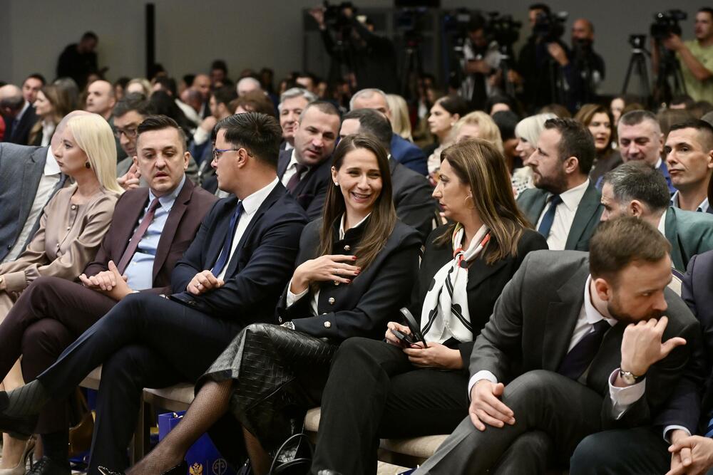 <p>"Činjenica da je Savjet EU počeo da razmatra poglavlja koja se tiču vladavine prava znači da se približavamo kraju ovog posla", rekao je ambasador EU</p>