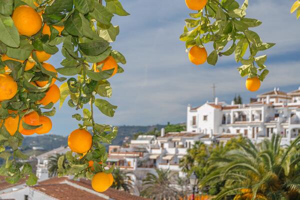İspanya'ya taşınmak: Birbirinden güzel köylerde uygun fiyatlı yeni ev fırsatları sizi bekliyor.
