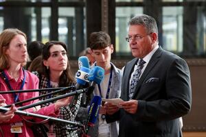 EU tjera kompanije da diversifikuju nabavku i smanje oslanjanje na Kinu