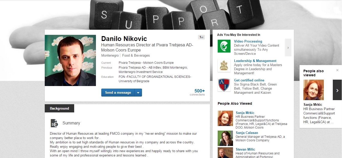 Seminar Sve o Linkedinu, Danilo Niković
