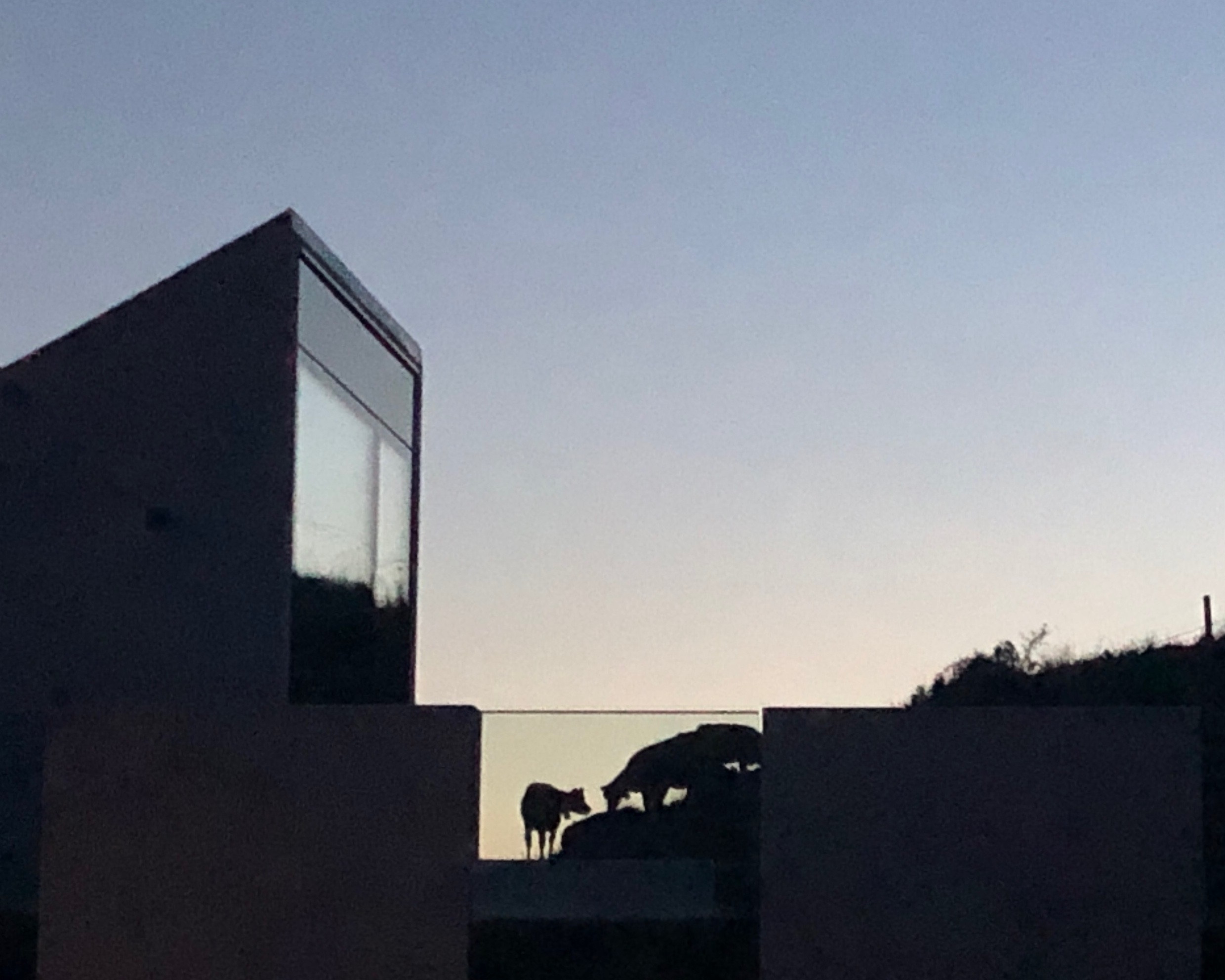 Ostvarena i kao arhitekta: Djelo Ivane Ćalović Putinčanin