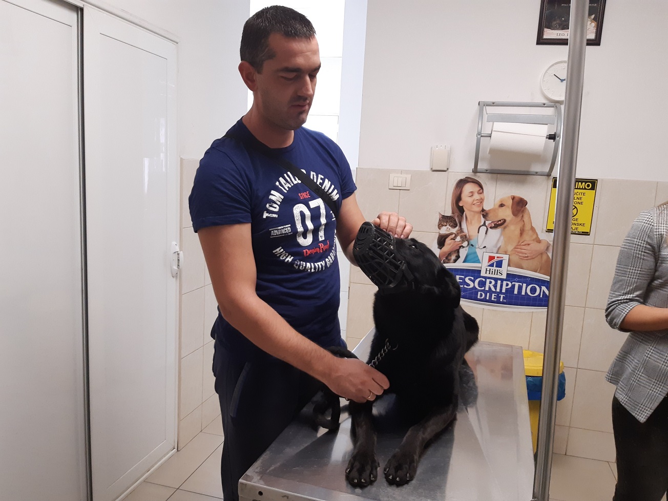 Identifikacija i registracija pasa