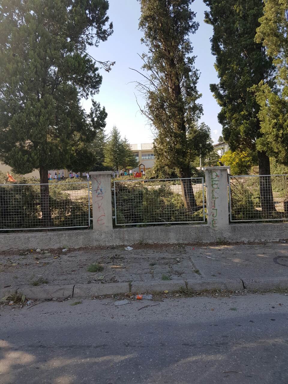 Čempresi decenijama stari