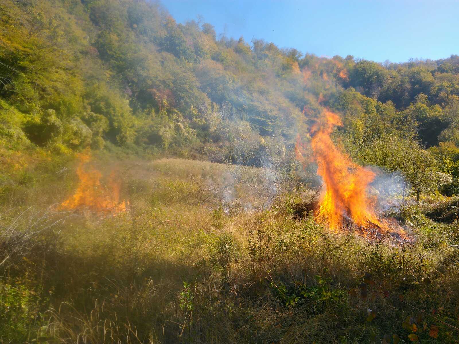 Kolašin požar