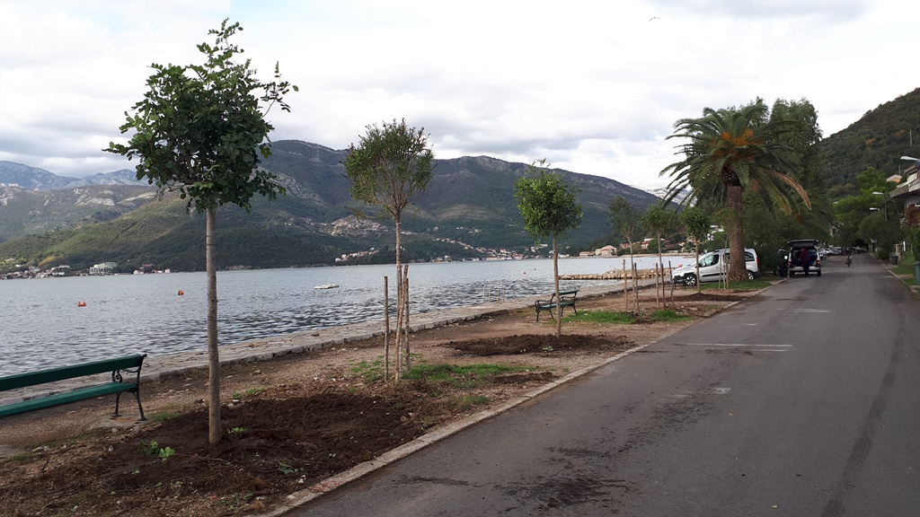 Rogači u Donjoj Lastvi