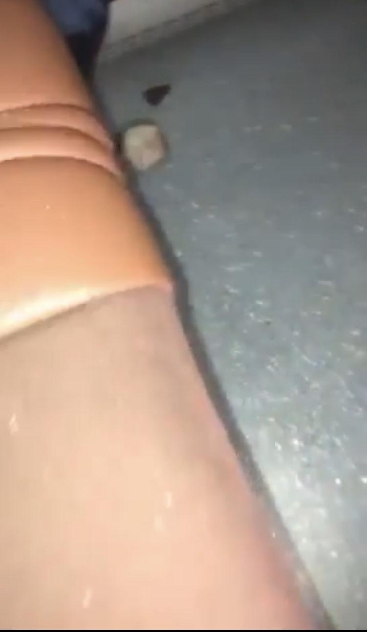 Kamenica u autobusu Budućnosti