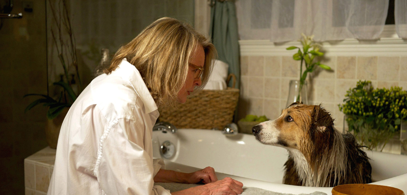 Film "Vjerni saputnik"