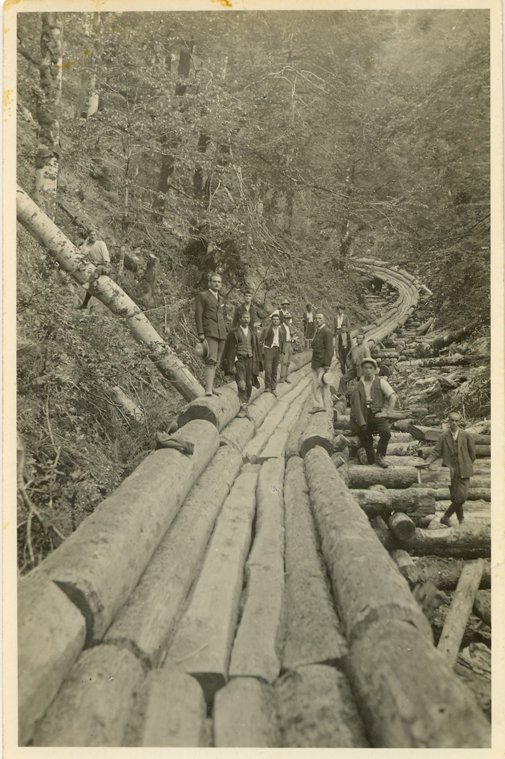 Voza braće Marić za spuštanje balvana