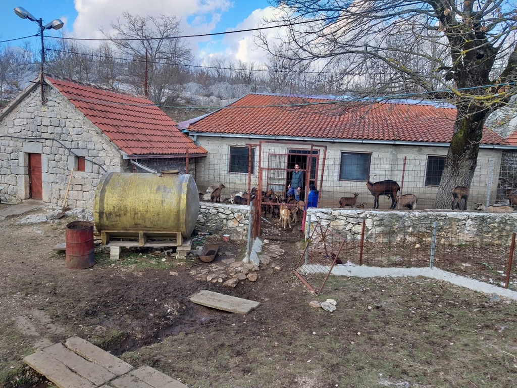 Nisu se pokajali: Domaćinstvo u Podbožuru