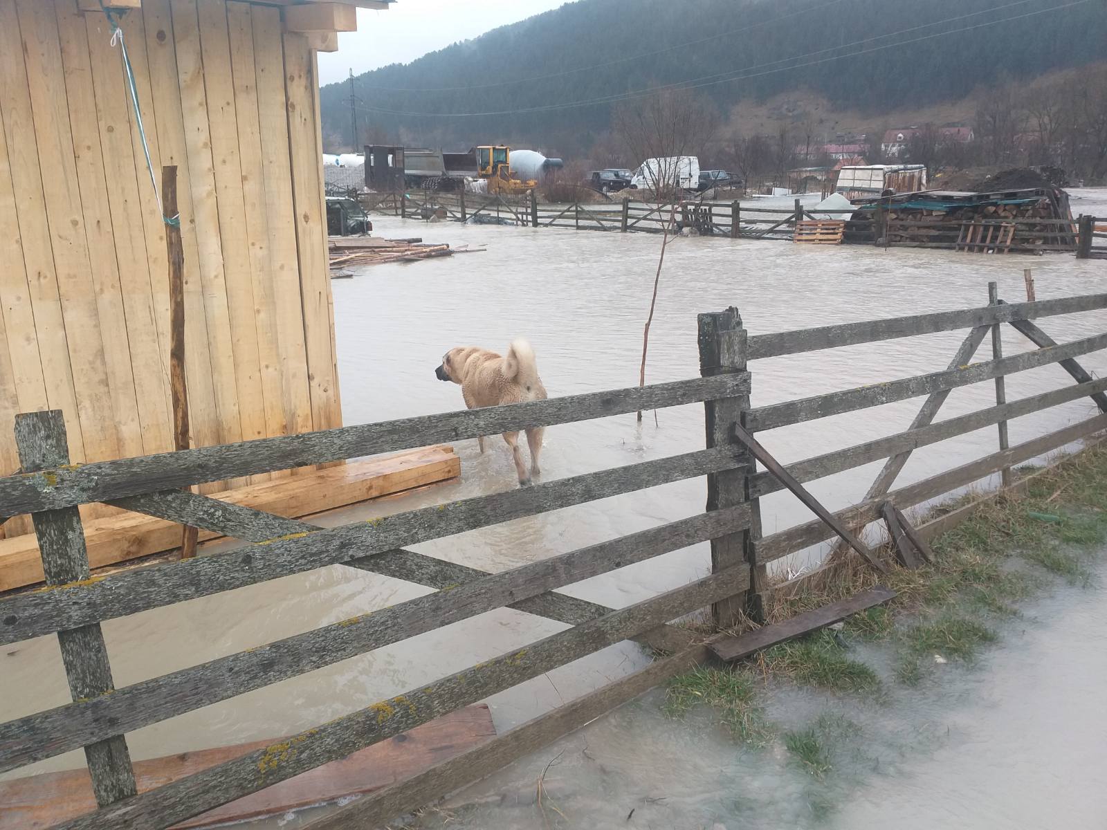 Ćehotina se izlila