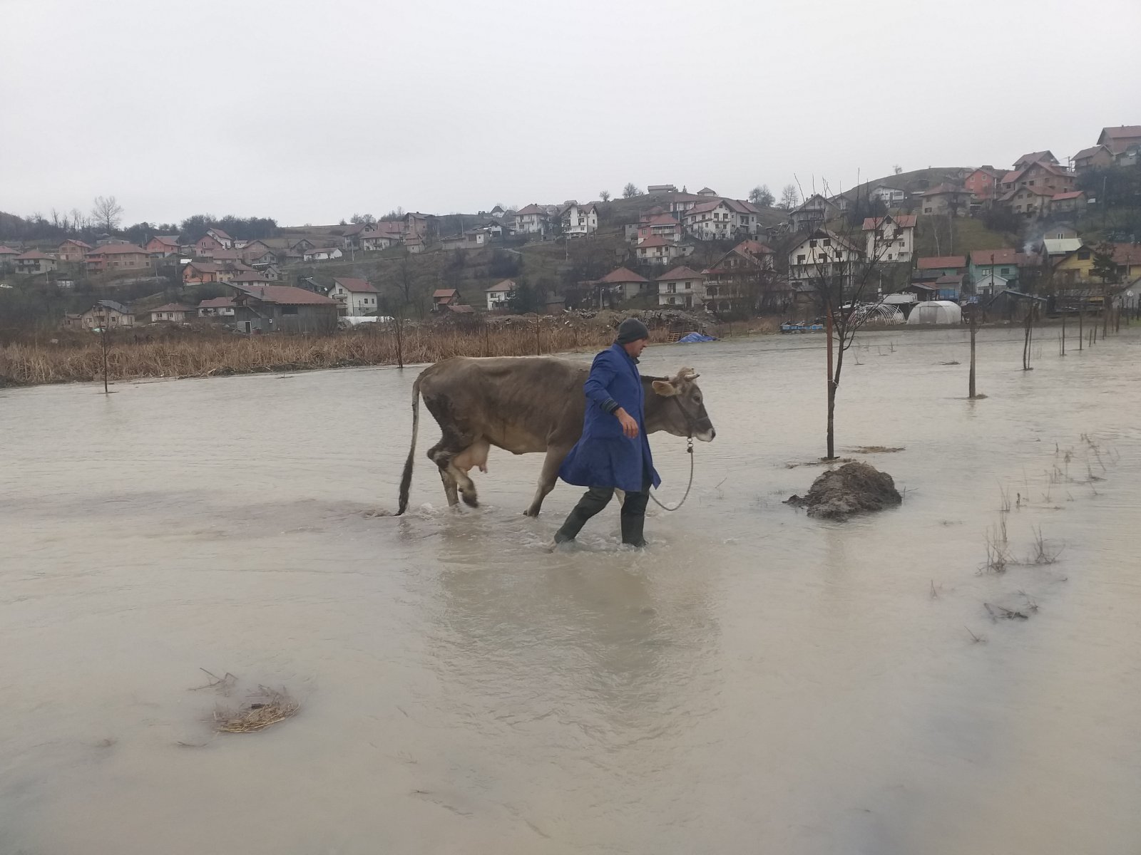 Ćehotina se izlila