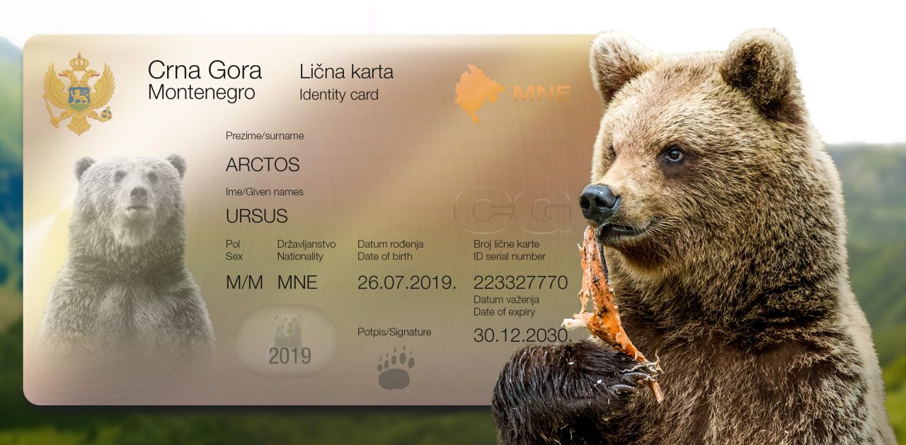 Lična karta mrkog medvjeda - Pano u edukativnom kutku u Kolašinu