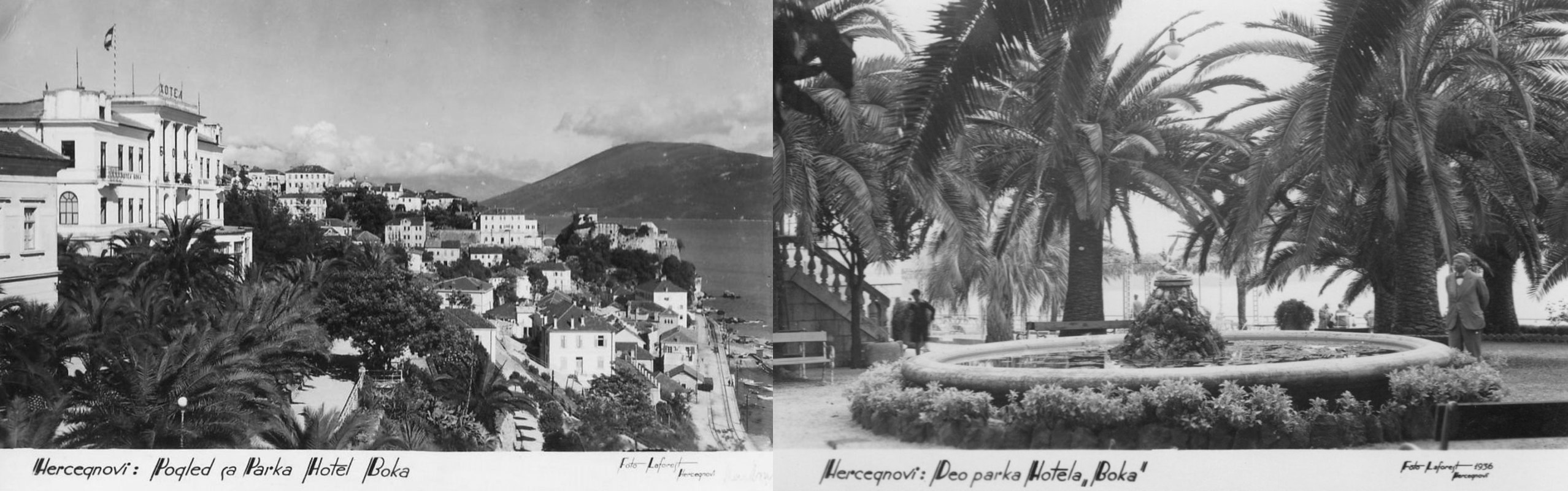 Herceg Novi