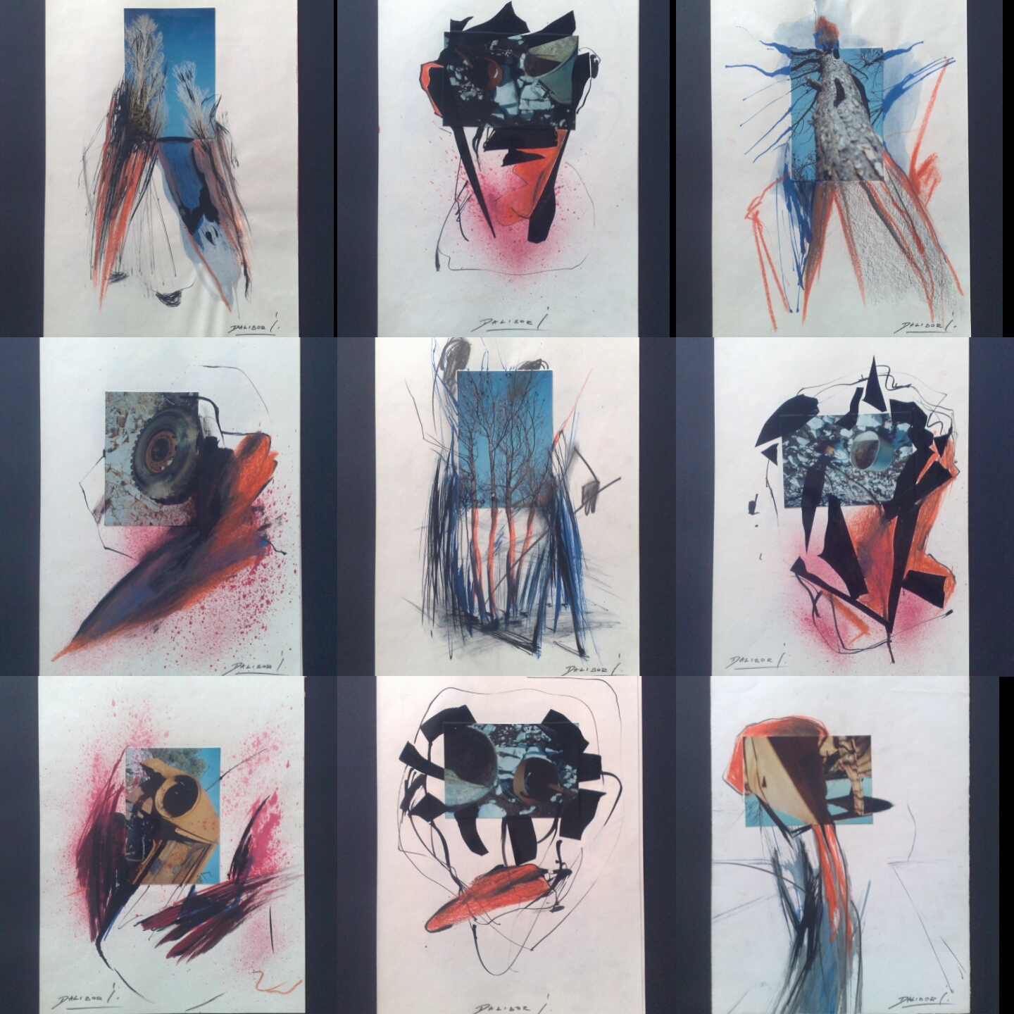 Jedan od Ćetkovićevih radova