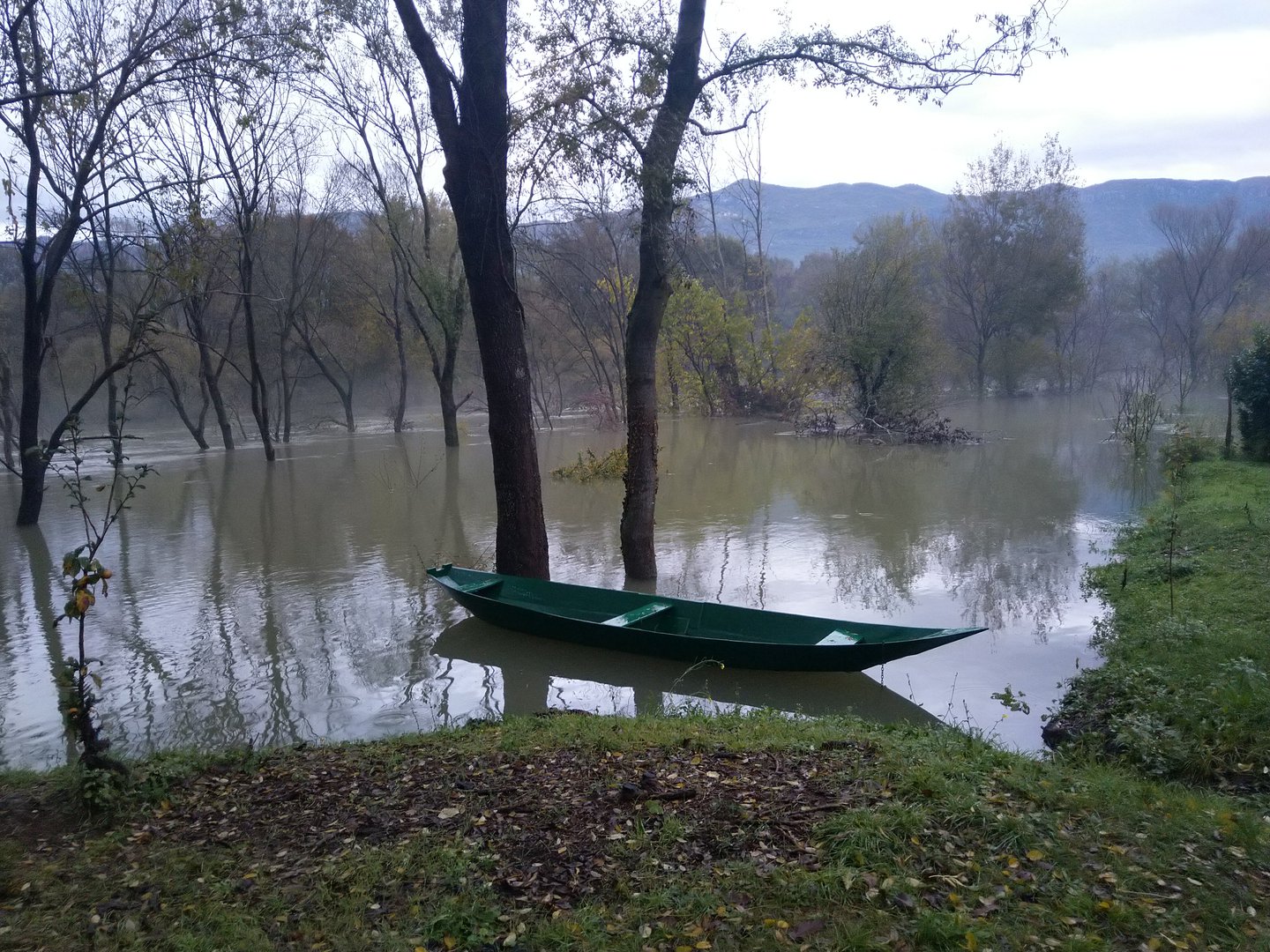 Rijeka Zeta u mjestu Kosić 